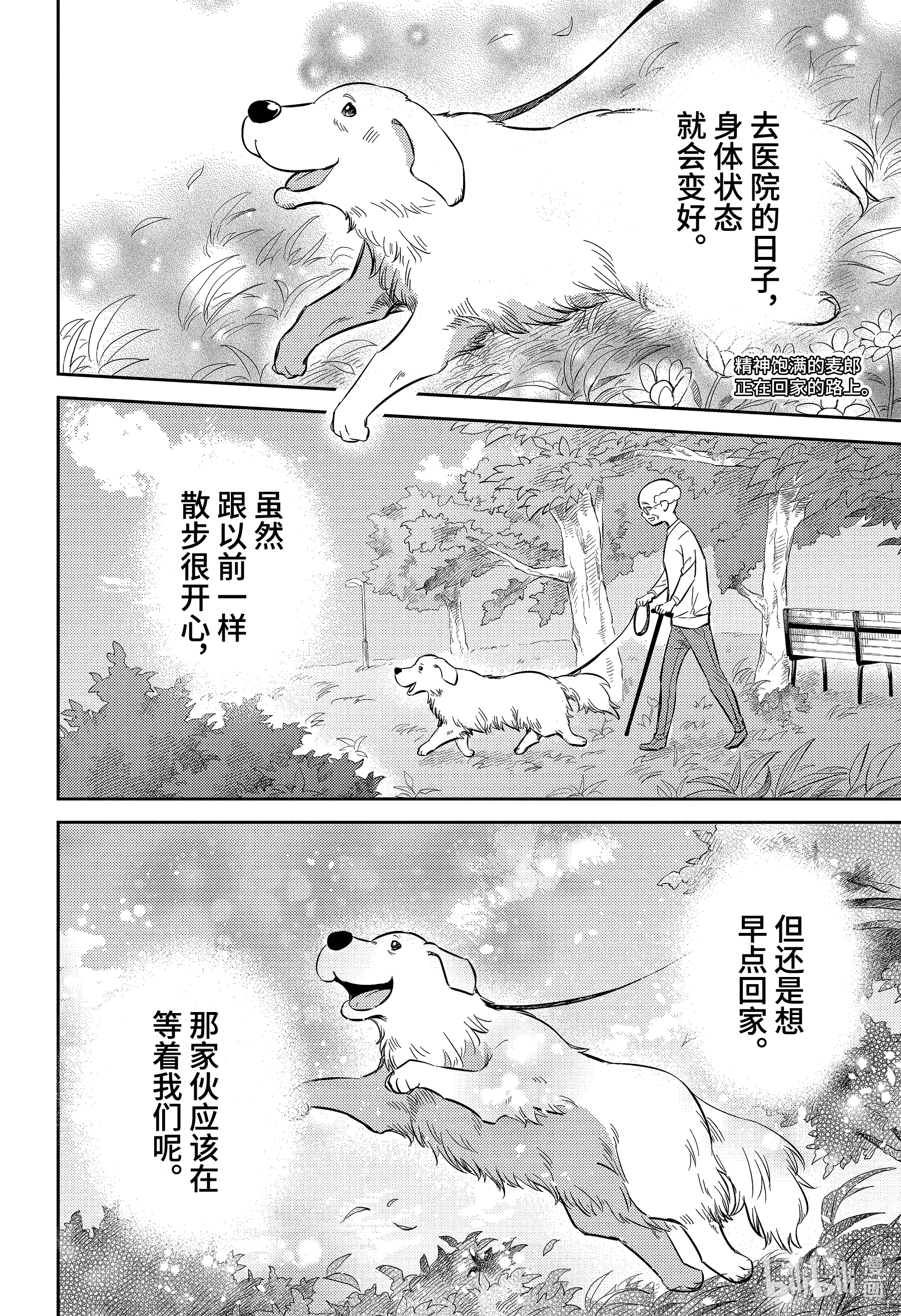 《大叔与猫》82第2页