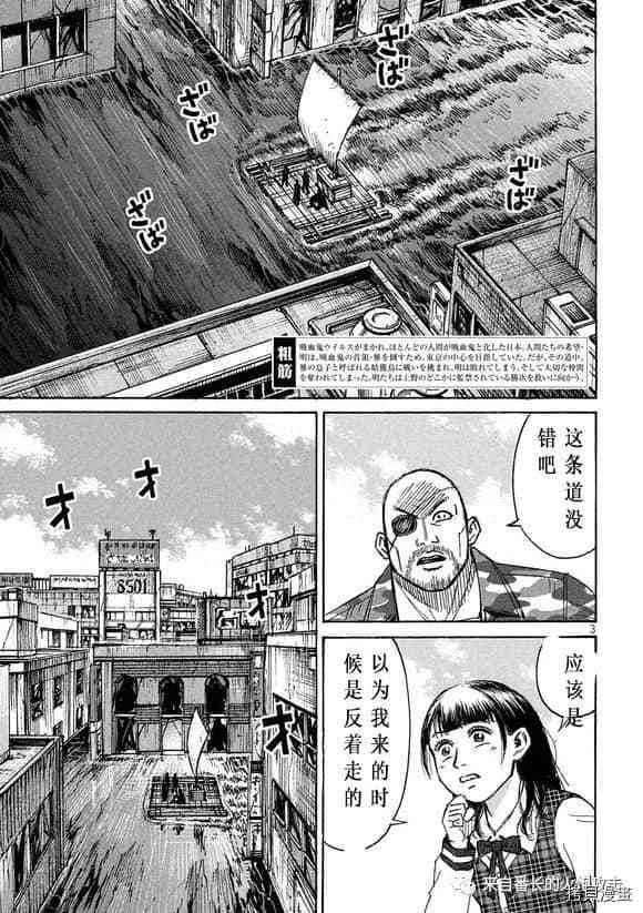 《彼岸岛》3部第177话第3页