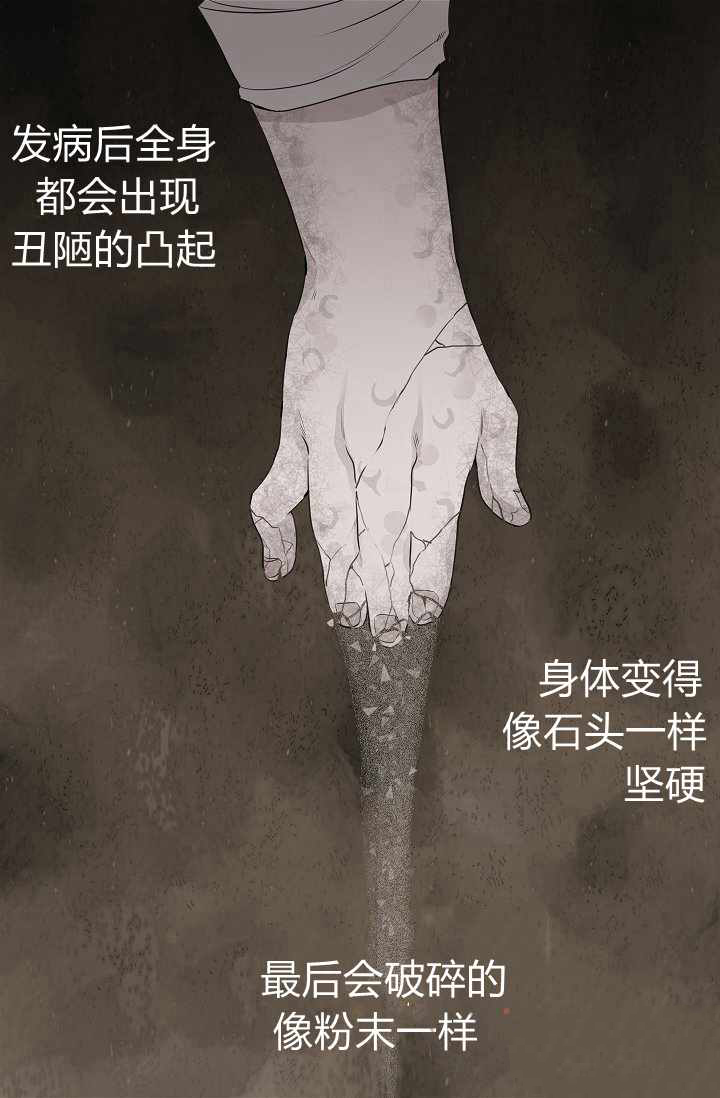 下一页图片