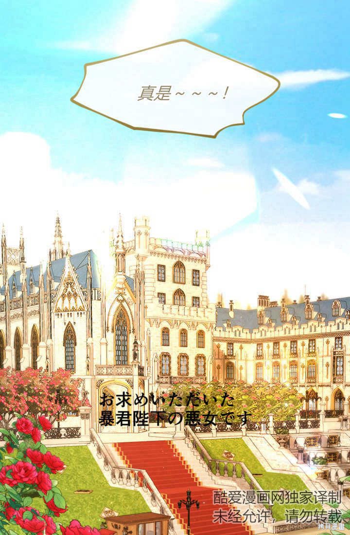 下一页图片