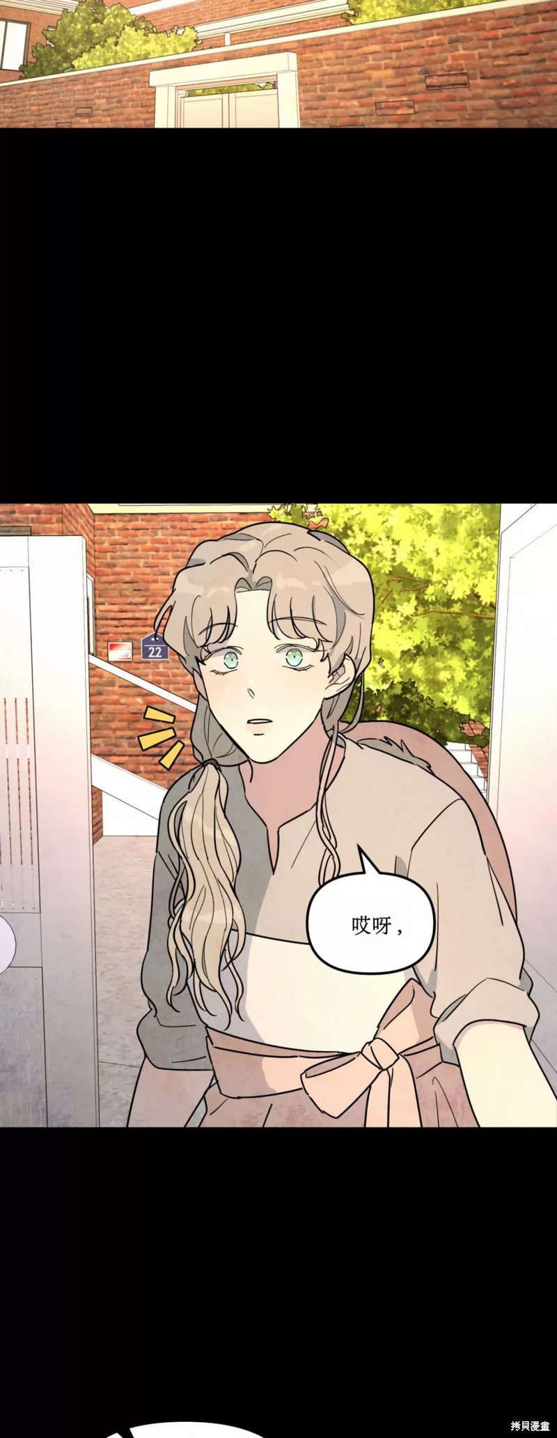 下一页图片