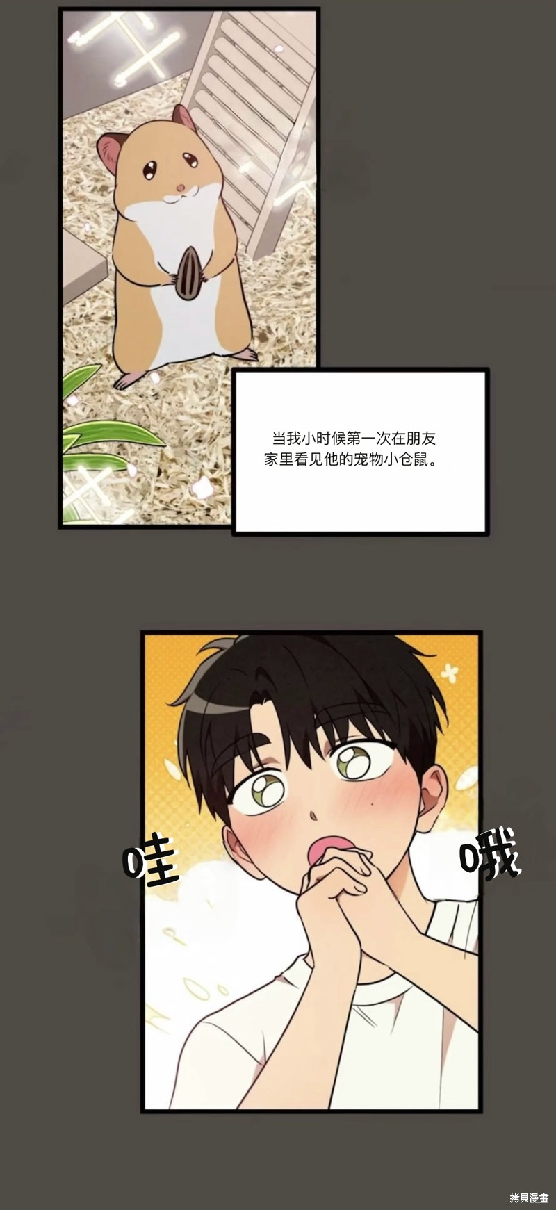下一页图片