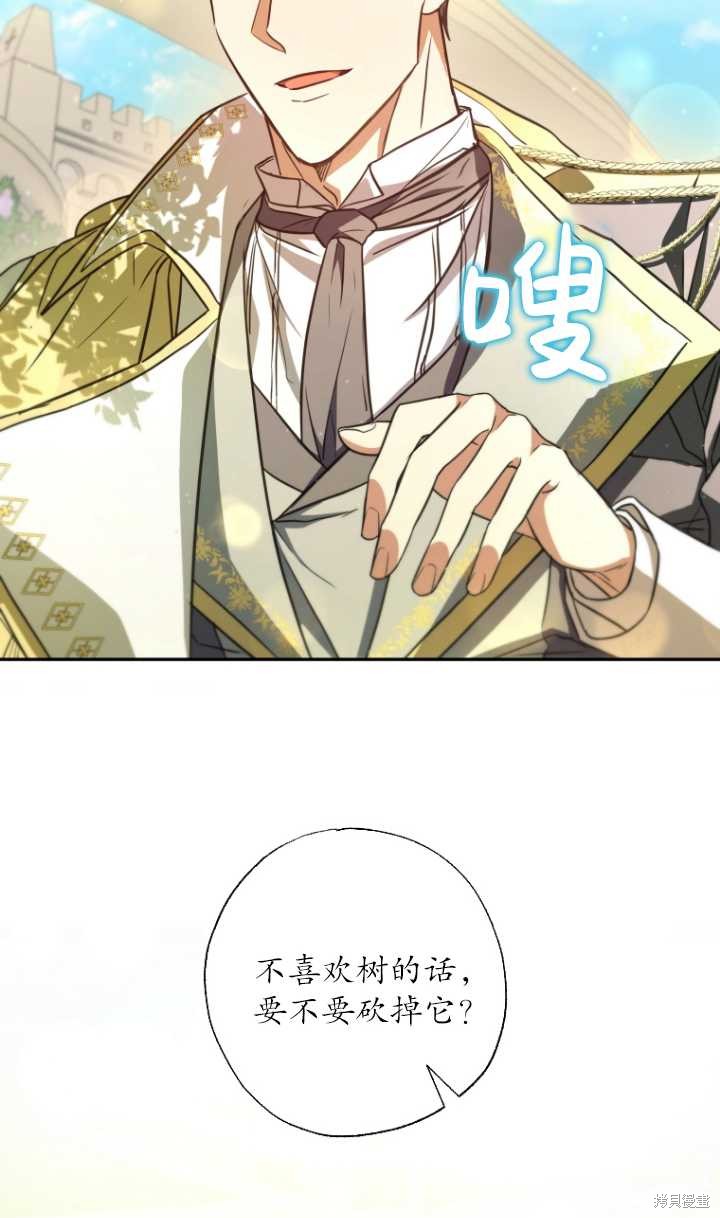 下一页图片