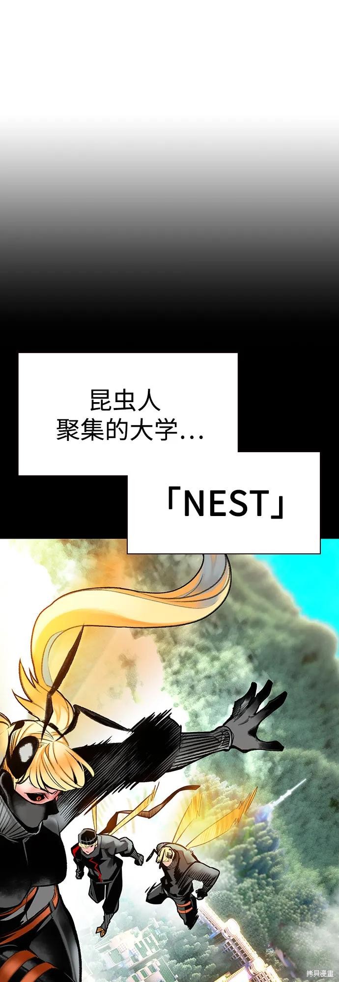下一页图片