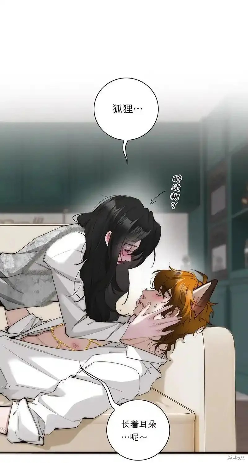 下一页图片