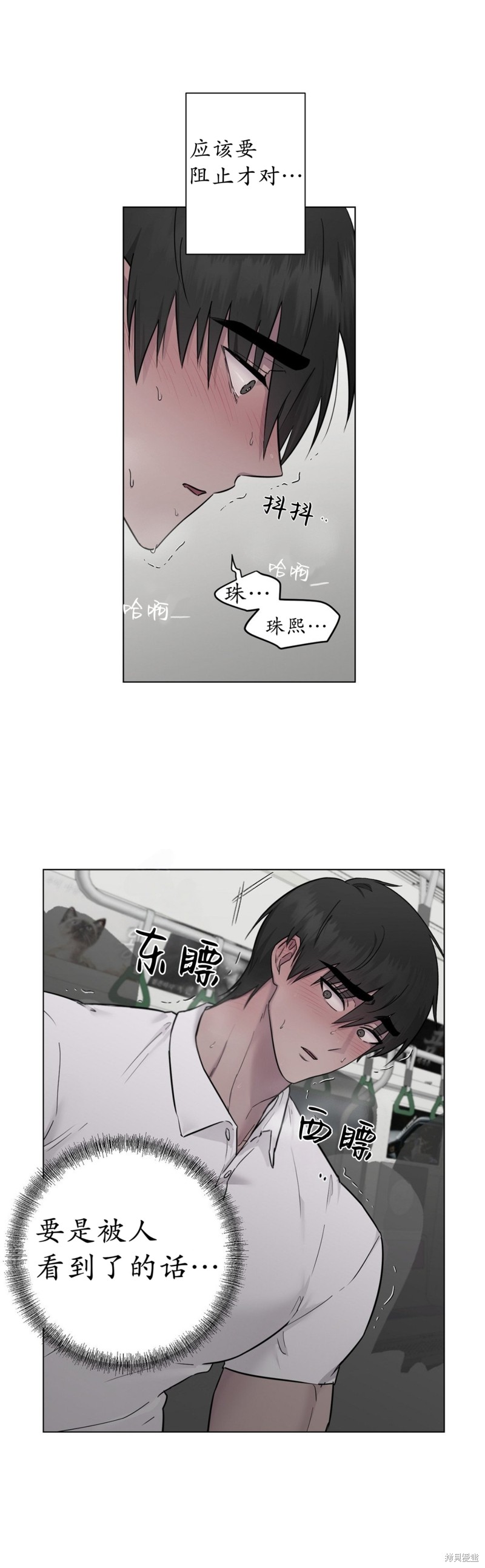 下一页图片