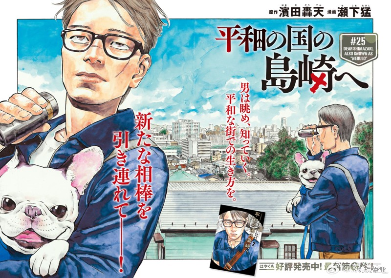 下一页图片